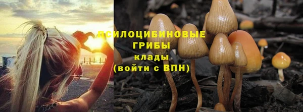 прущие крисы Балабаново