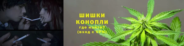 прущие крисы Балабаново