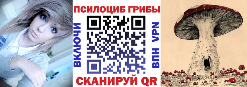 Купить закладки  Бор  Псилоцибиновые грибы Psilocybe 