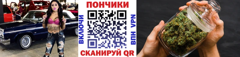 Бошки Шишки сатива  Купить  Бор 